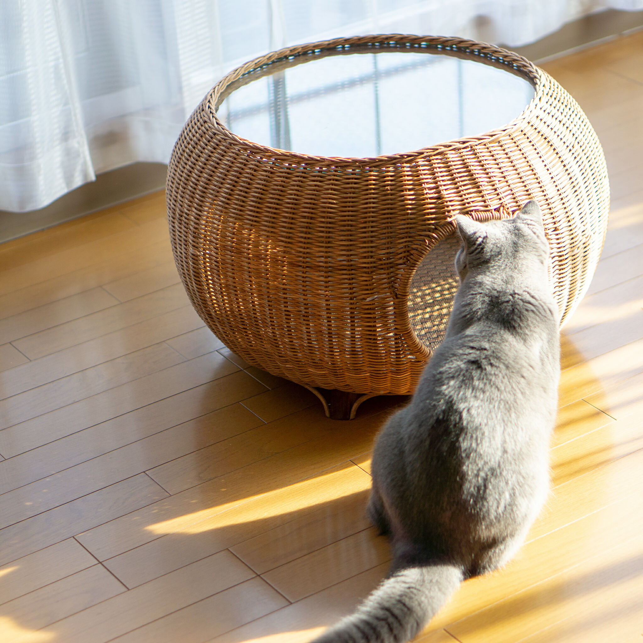 楽天市場】ラタンガラステーブル（猫ハウス） ガラステーブルなので中