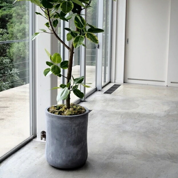 楽天市場】植木鉢 おしゃれ 大型 バスクミドル (2色)＜ 12号 14号 37cm