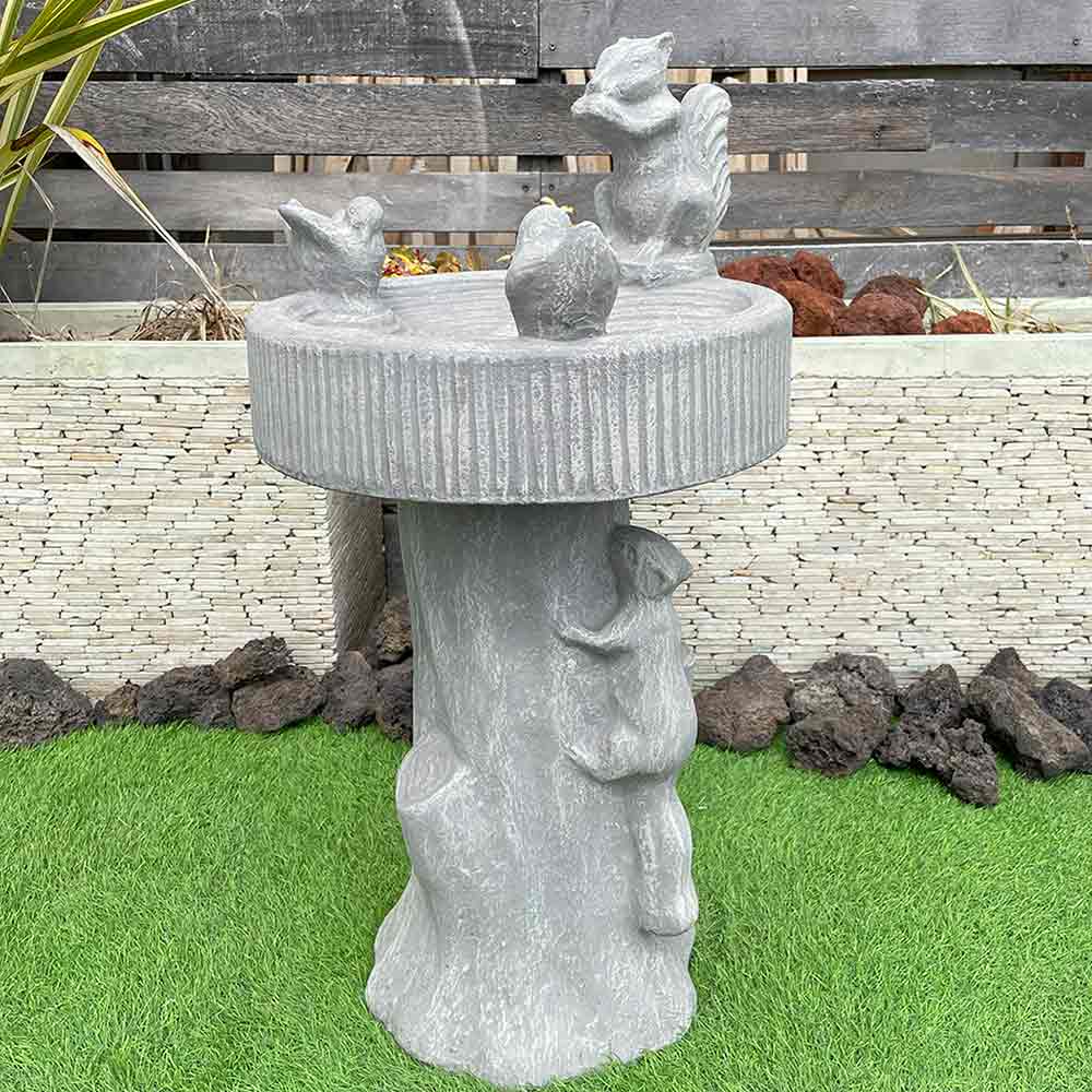 楽天市場】【ポイントUP アジアン バリ】 バードバス リス 小鳥