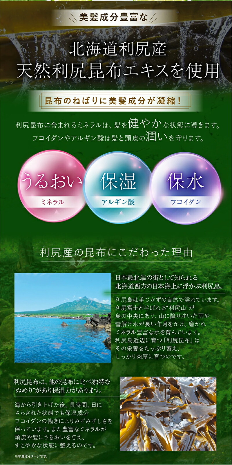 楽天市場】白髪用 利尻カラーケア コンディショナー お徳用500mlサイズ