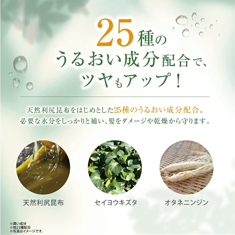 楽天市場】白髪用 利尻カラーシャンプー＆カラーケアコンディショナー