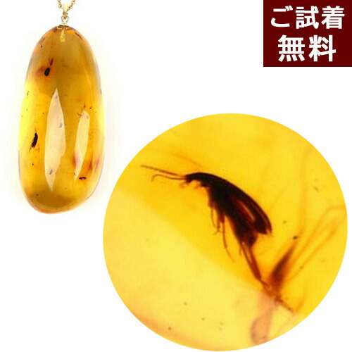 楽天市場】＼最大30％OFFクーポン／化石 虫入り琥珀 ペンダントトップ