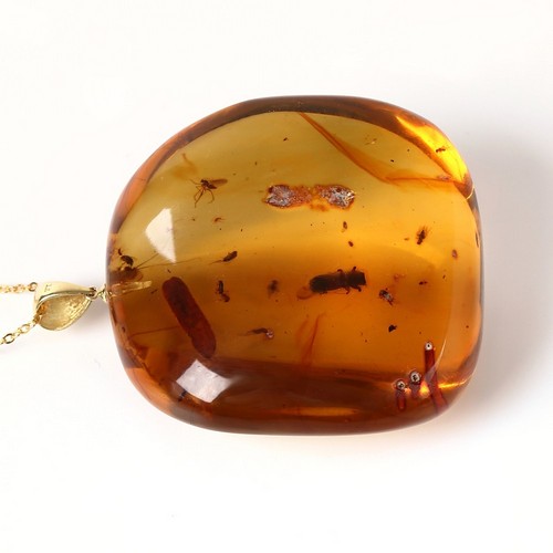 楽天市場】＼最大30％OFFクーポン／化石 虫入り琥珀 ペンダントトップ