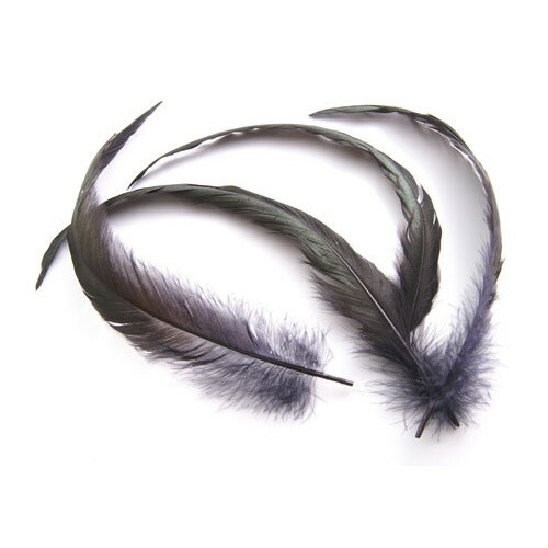 楽天市場】羽 尾毛 黒 （20-25cm) 羽根 2本【装飾用】【黒い羽根