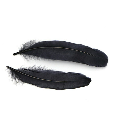 楽天市場】グース 黒染 10本 【黒い羽根 フェザー アクセサリー パーツ