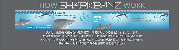 楽天市場】＼楽天スーパーSALE+本日P4倍+2倍デー／ シャークバンズ 2