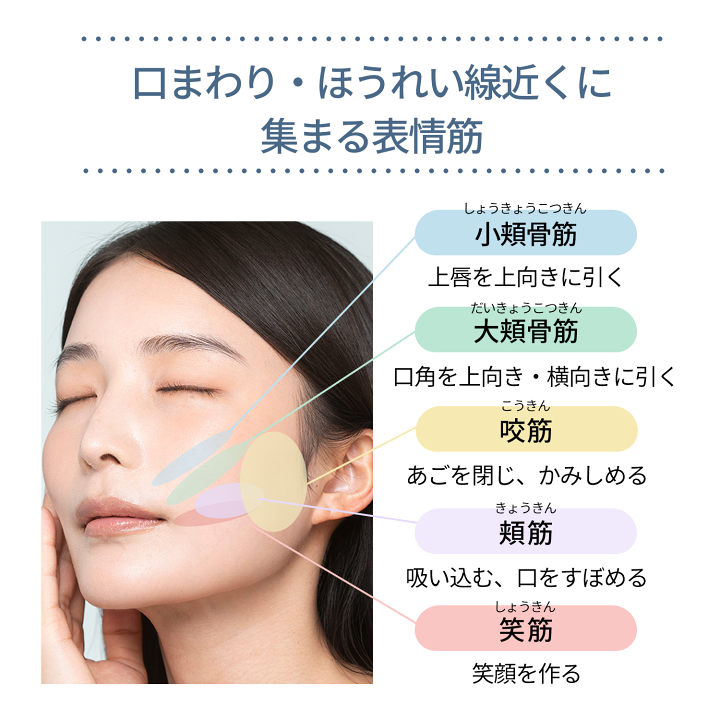 楽天市場】【20%OFF!スーパーSALE】ライオン inqutoインキュット口内