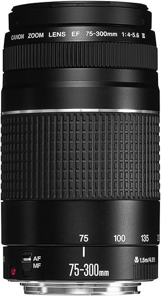 canon ef75-300mm efレンズ f4-5.6 iiiズームレンズ」の人気商品一覧