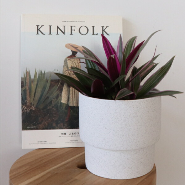 楽天市場】［生産者直送］ムラサキオモト（紫万年青）陶器鉢セット