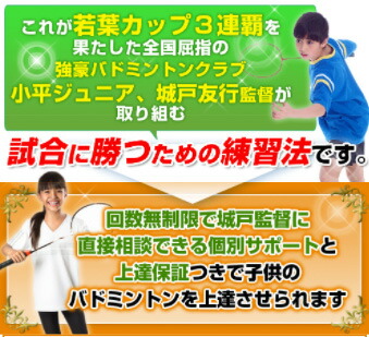 楽天市場】バドミントンジュニア上達の極意 DVD【小平ジュニア