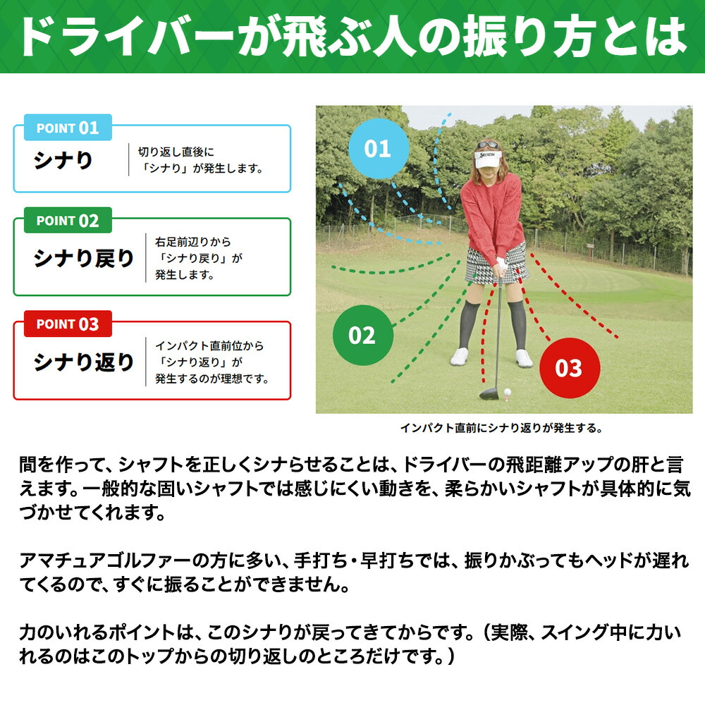 楽天市場】GOLFavo シナリドライバー ゴルフ 練習器具 スイング練習