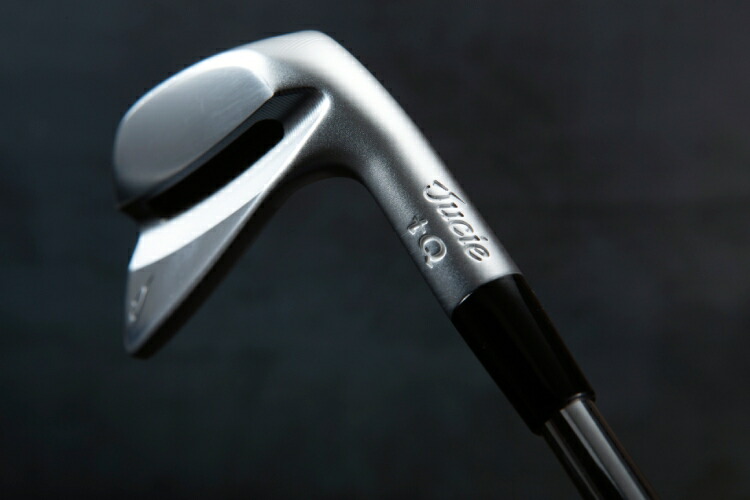 楽天市場】ジューシー アイアン jucie tQアイアン メンズ クラブ 男性