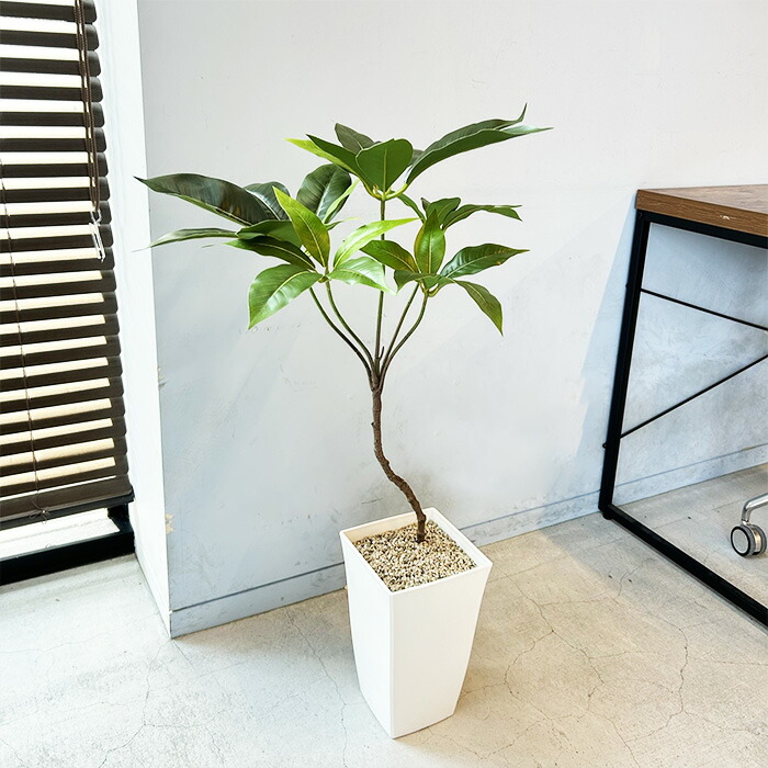 楽天市場】ツピダンサス 85cm フェイクグリーン 樹脂製白鉢 人工観葉