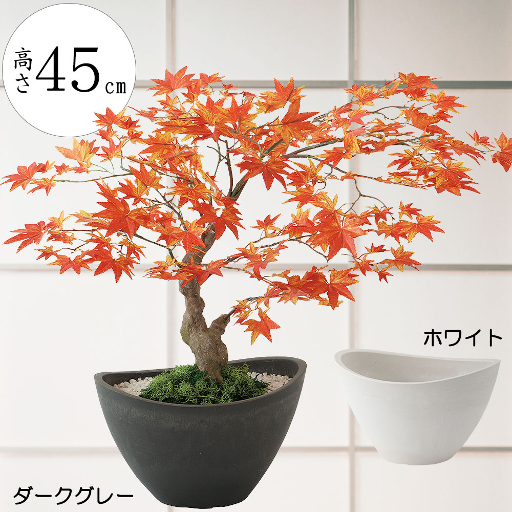 楽天市場】盆栽 モミジ 紅葉 もみじ フェイクグリーン おしゃれ 人気