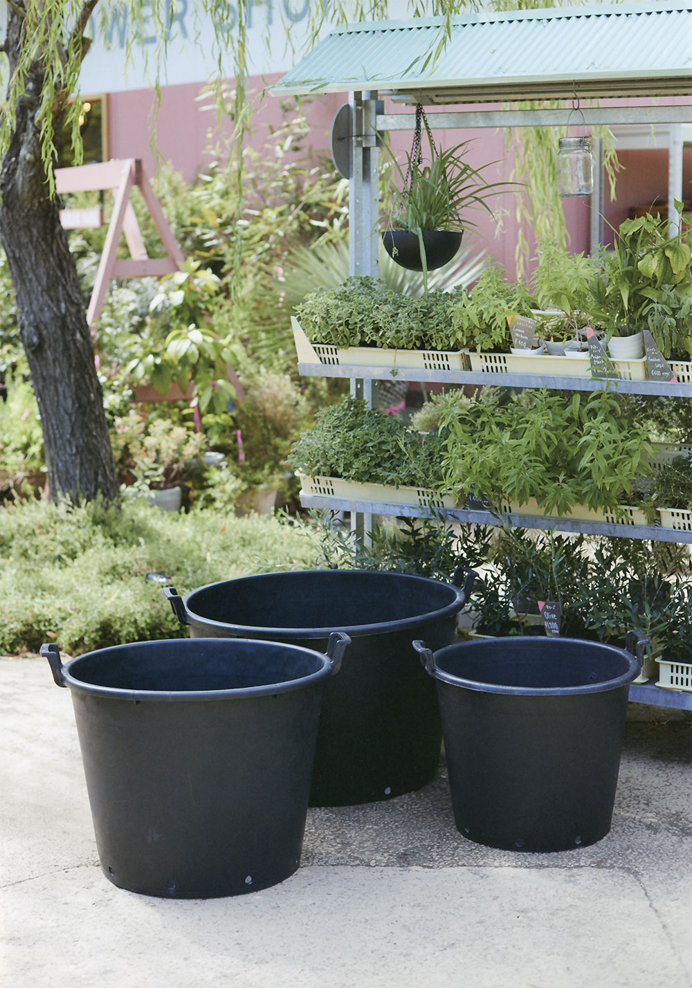 楽天市場】植木鉢 おしゃれ 大型 プランター 人気 黒 ブラック