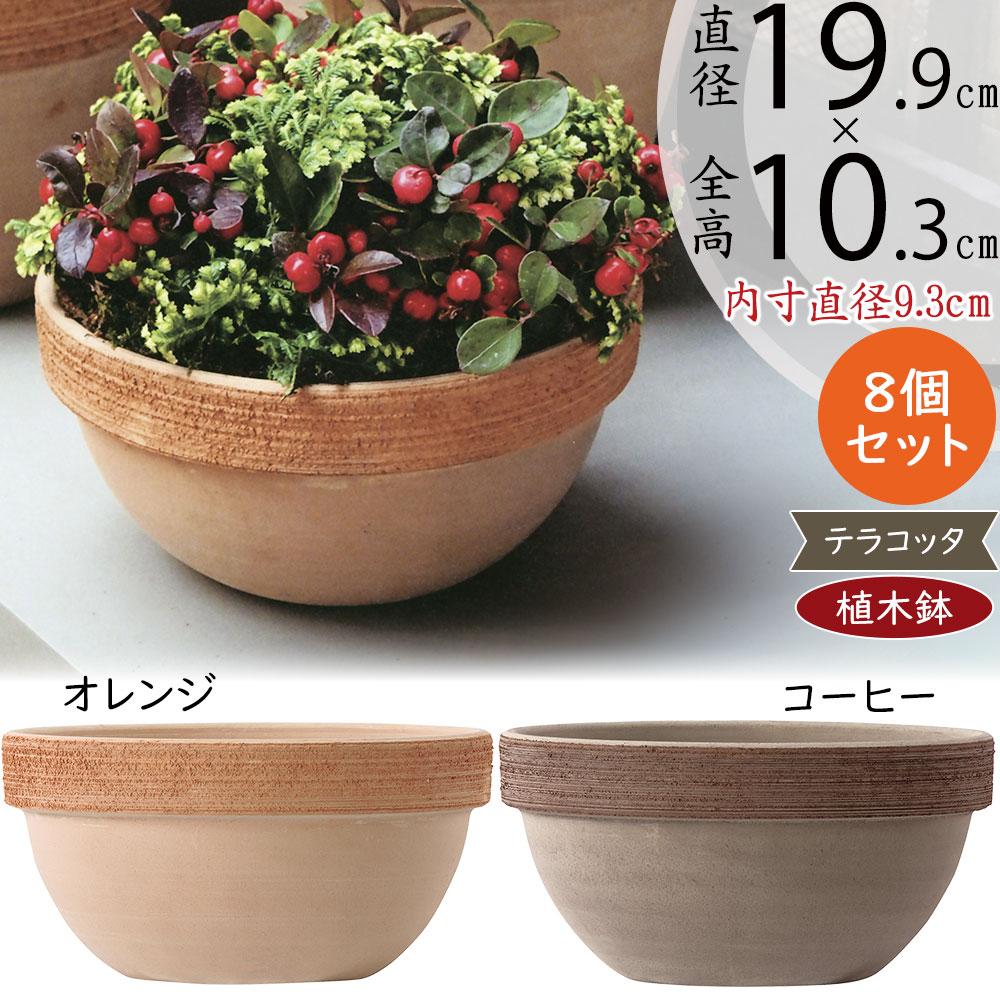 楽天市場】テラコッタ 植木鉢 おしゃれ 人気 プランター おすすめ 観葉