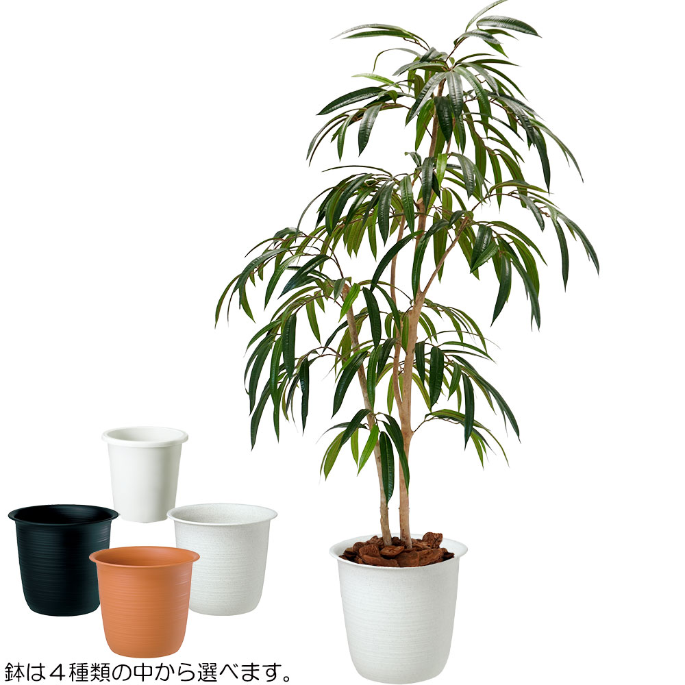 楽天市場】フェイクグリーン ショウナンゴムの木 大型 おしゃれ 人気