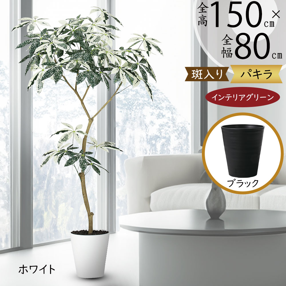 楽天市場】フェイクグリーン 観葉植物 パキラ ミルキーウェイ おしゃれ