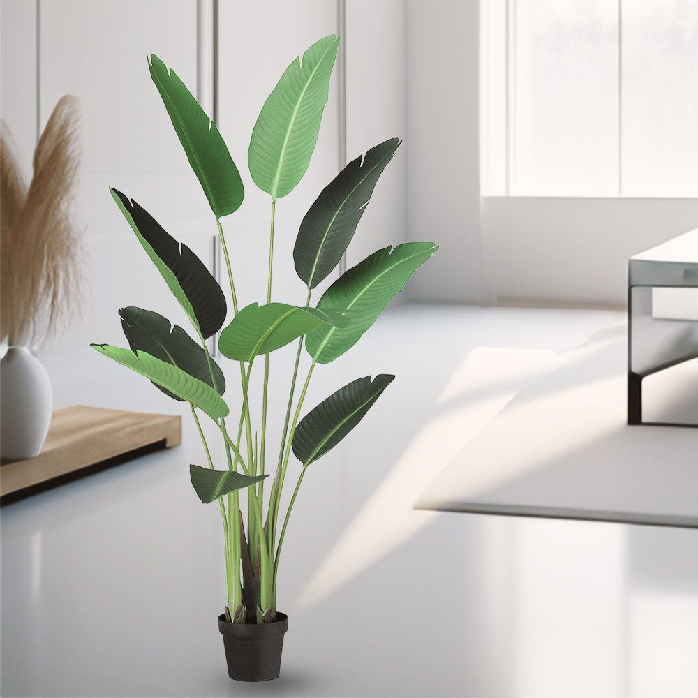 楽天市場】ストレリチア ストレチア フェイクグリーン おしゃれ 人気