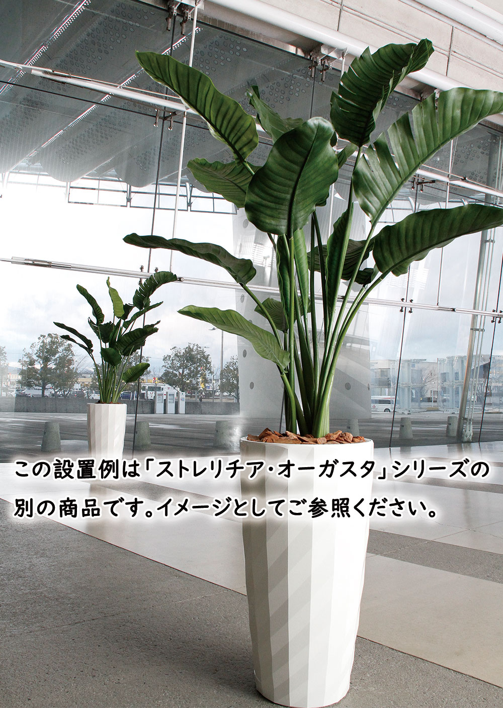 楽天市場】ストレリチア ストレチア フェイクグリーン おしゃれ 人気