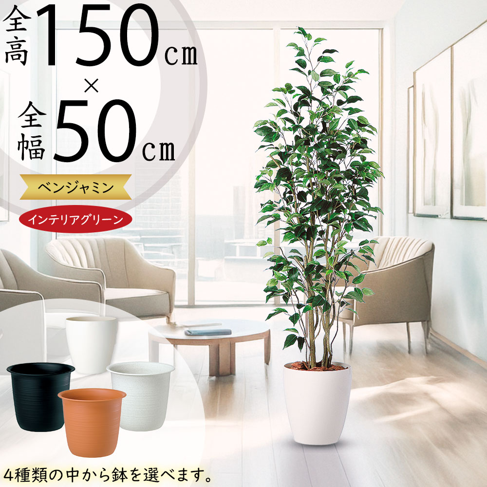 楽天市場】フェイクグリーン おしゃれ 人気 ベンジャミン フィカス