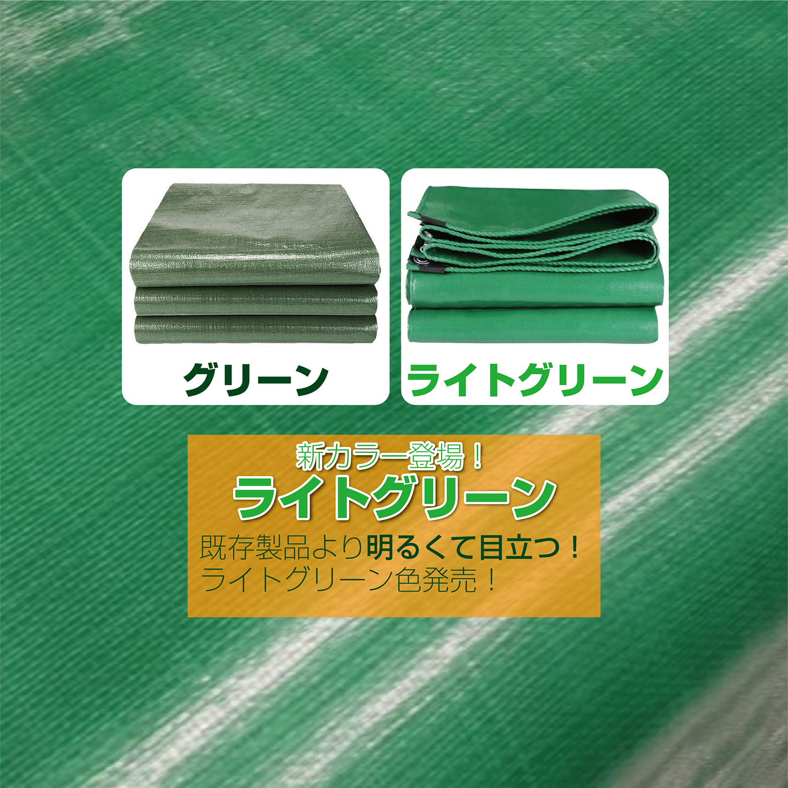 楽天市場】【☆P3倍＆最大1,000円OFFcp！】グリーンシート od ブルー