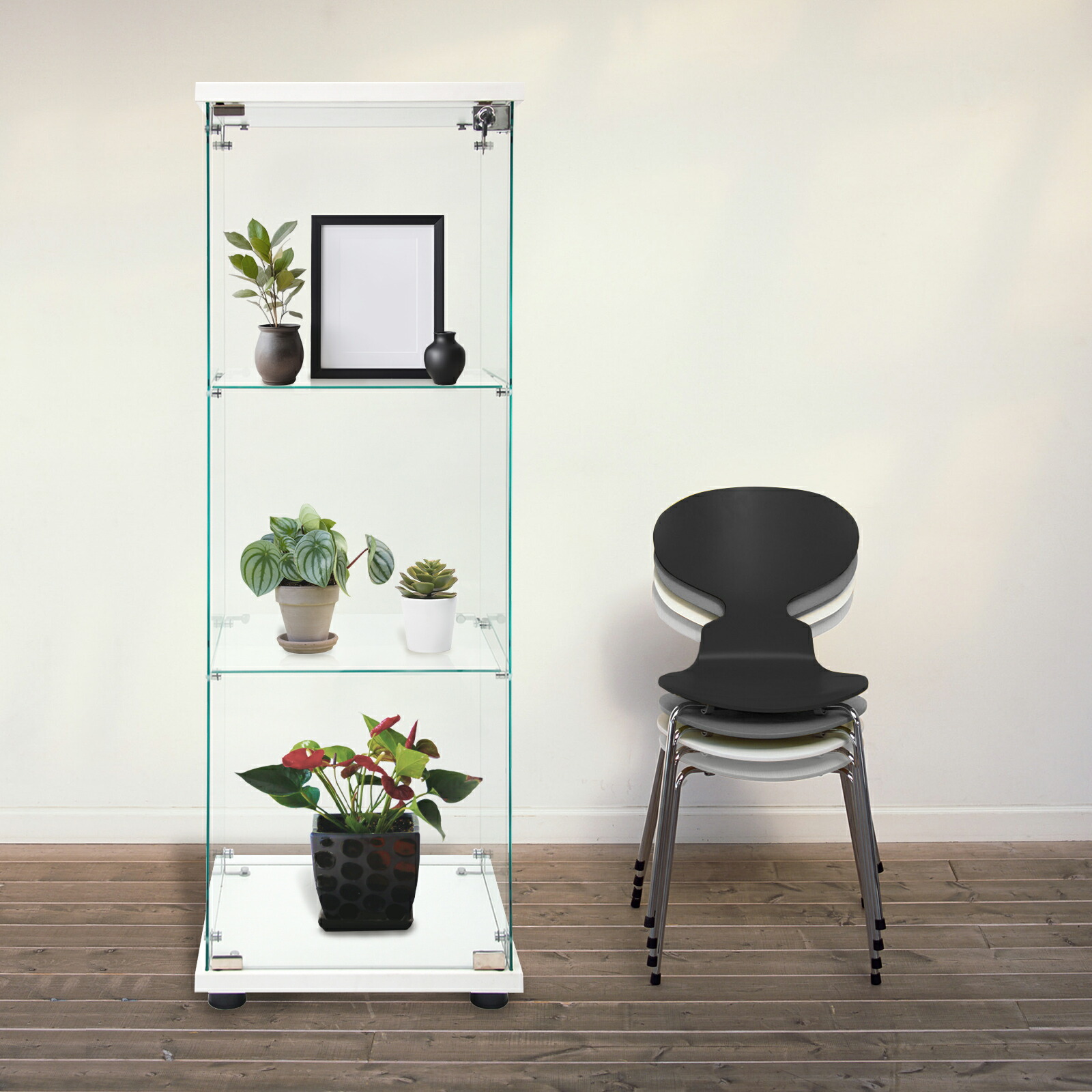 楽天市場】【☆P3倍＆最大1,000円OFFcp！】コレクションケース 大型 三