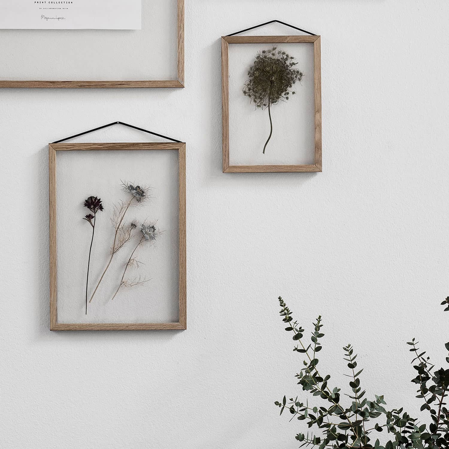 楽天市場】MOEBE FRAME A4 ムーベ フレーム A4 オーク 額 額縁 フォト