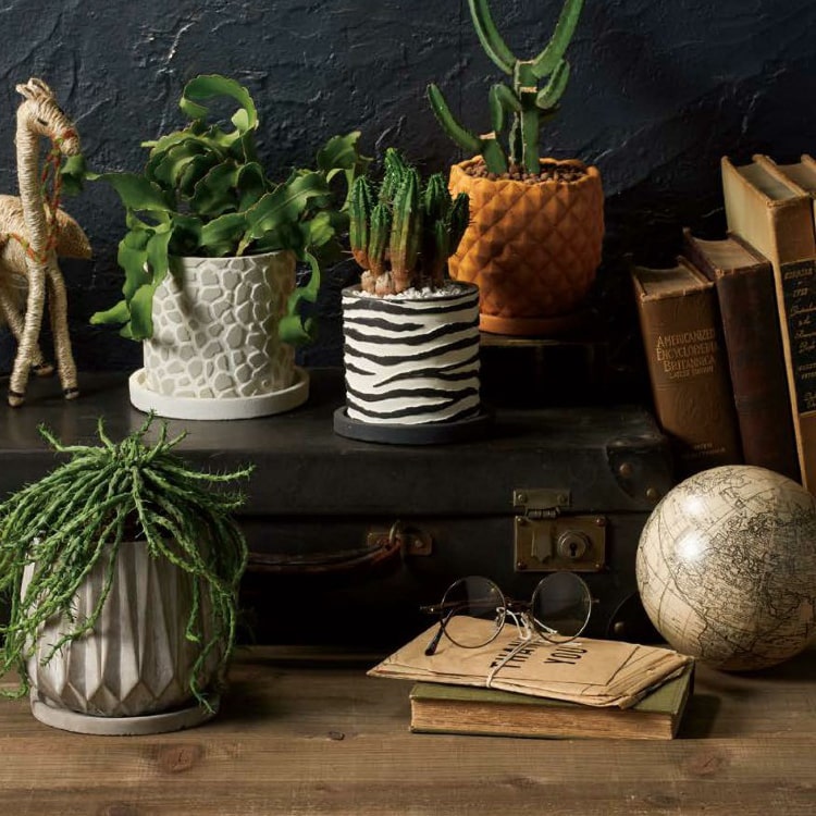 楽天市場】植木鉢 おしゃれ 珍しいゼブラ柄の植木鉢 UN467-100 3号