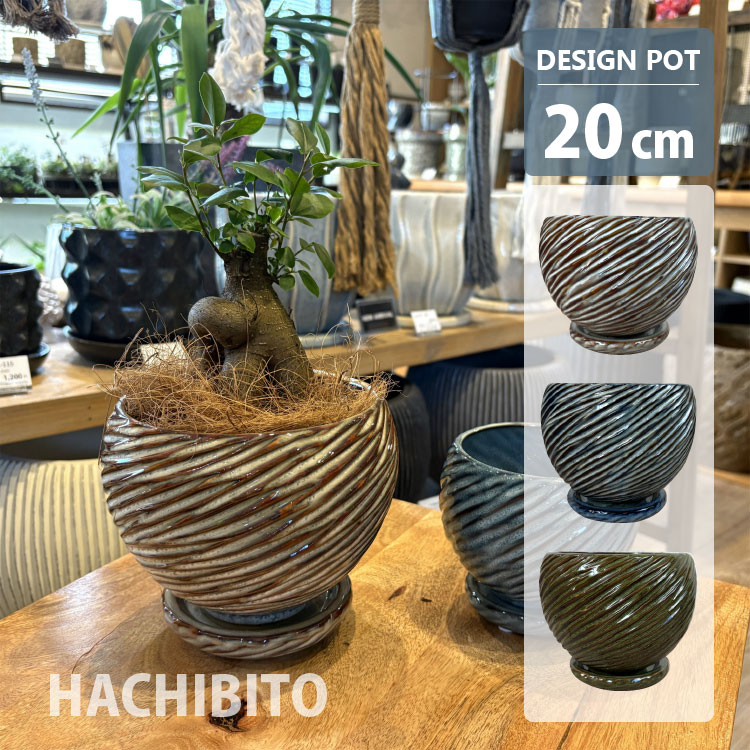 楽天市場】植木鉢 おしゃれ 陶器鉢 アスロープポット YD019-200 6.5号