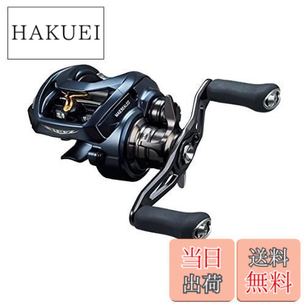 ダイワ スティーズ A II TW 1000XHL (リール) 価格比較 - 価格.com