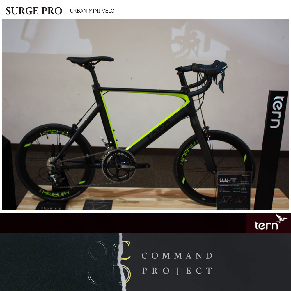 楽天市場】【最大4000円クーポン配布】SURGE PRO DELTA COLOR(サージ