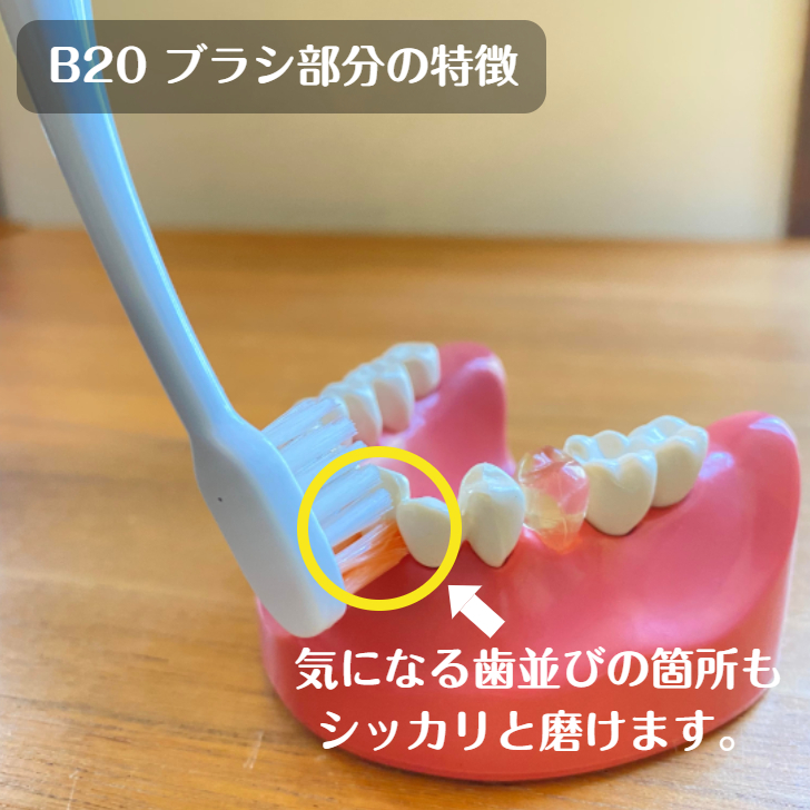 楽天市場】【最大200円OFFｸｰﾎﾟﾝ☆ｽｰﾊﾟｰｾｰﾙ限定！】ルシェロ B-20 M S