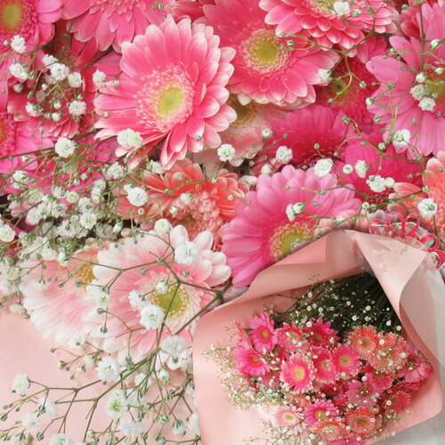 楽天市場】【 生花 】【 産地直送 】カラーと本数が選べる ガーベラ