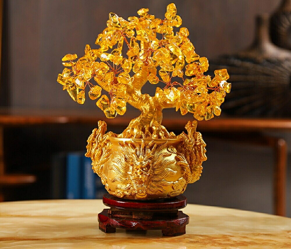 楽天市場】龍の黄金木 招財樹 金のなる木 黄水晶 風水アイ : ショップ