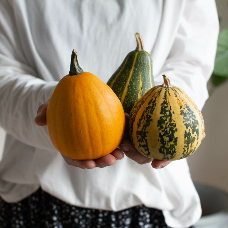 楽天市場】＼2,000円ポッキリ／ 【ミニかぼちゃ/おまかせ5個セット