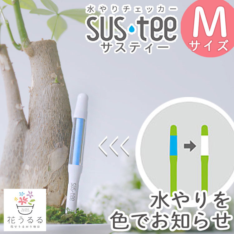 楽天市場】水やりチェッカー【サスティー M】同梱なら追加送料なし