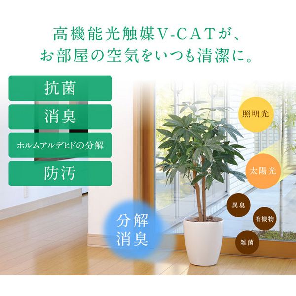 楽天市場】《10％OFFセール》【直送】 【人工観葉植物】光の楽園