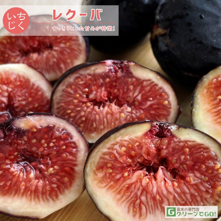 楽天市場】[楽天市場店限定価格] ◇グリゴー スーパーSALE◇ イチジク