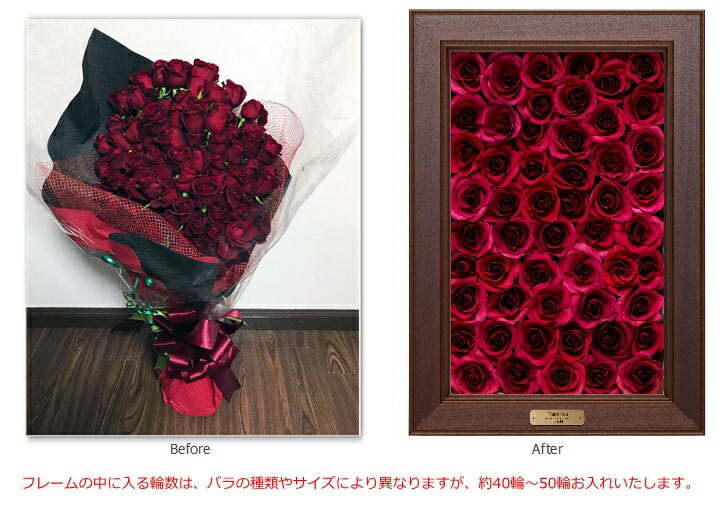 楽天市場】送料無料！Reine De Fleur (レンデフロール)ローズスぺ