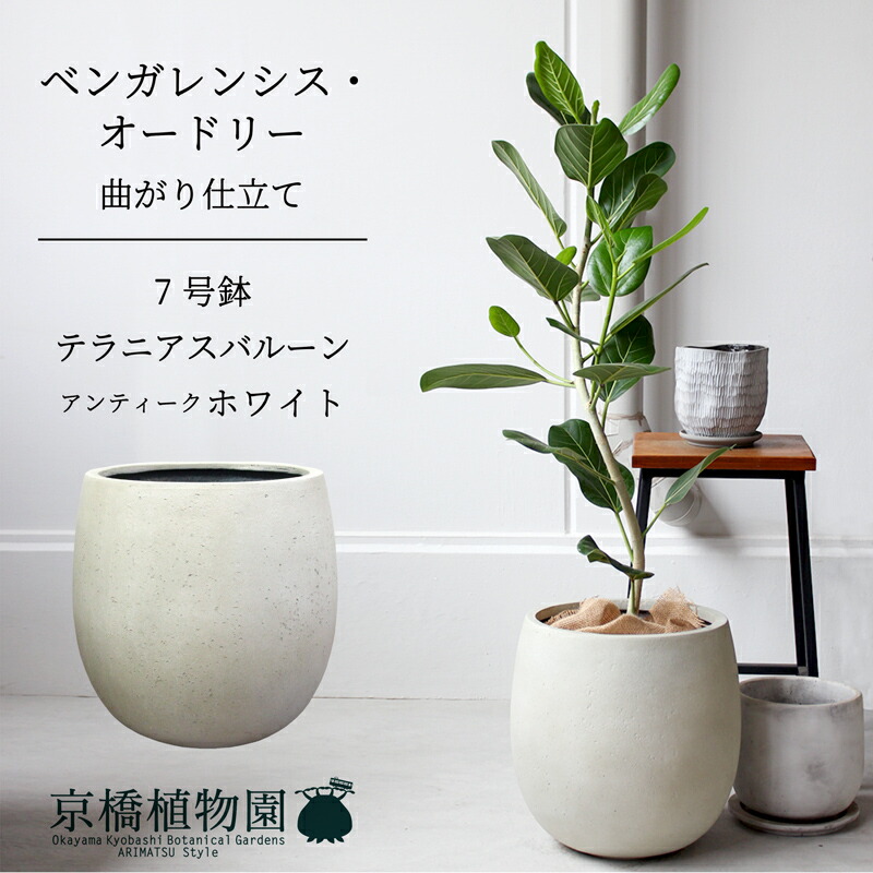 楽天市場】【SSクーポンあり】【バルーン鉢カバー：アンティーク