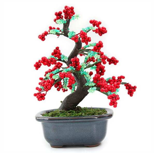 ピラカンサス」の人気商品一覧 | 安い商品を通販サイトから探す - 価格.com