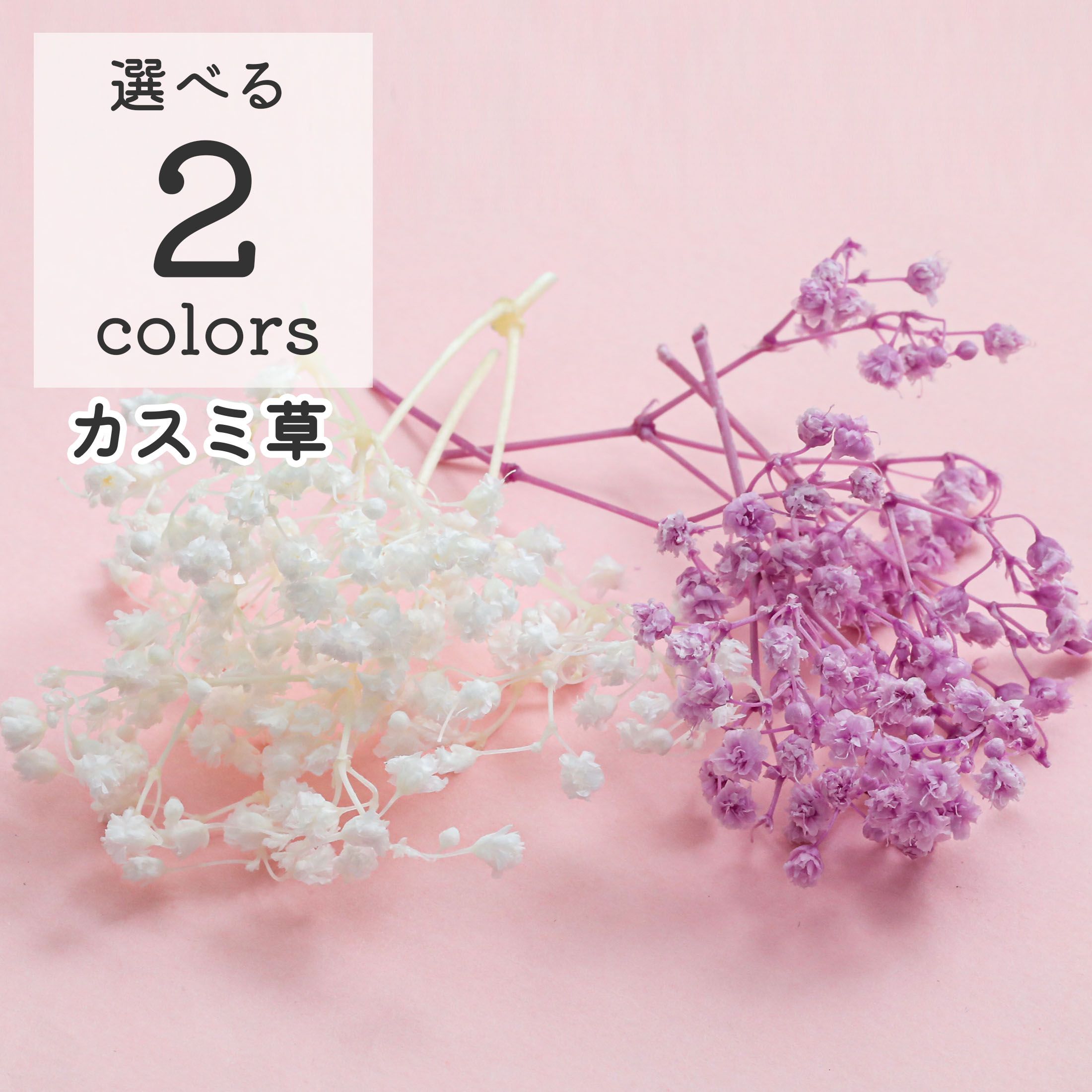 楽天市場】小分け ドライフラワー 花材 プリザーブドフラワー カスミ草