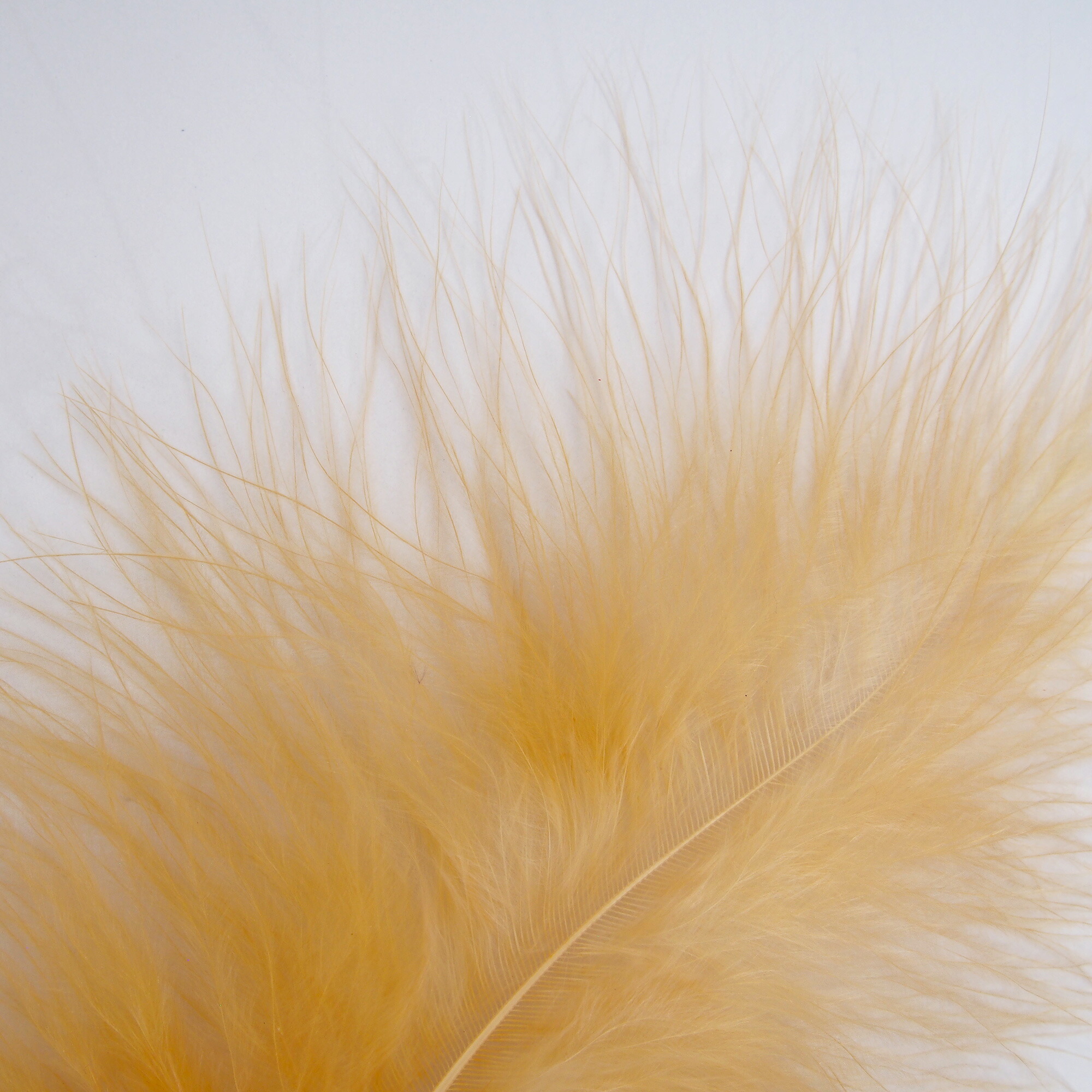 楽天市場】マラブー(10本)シナモン フライタイイング 羽根 フライ