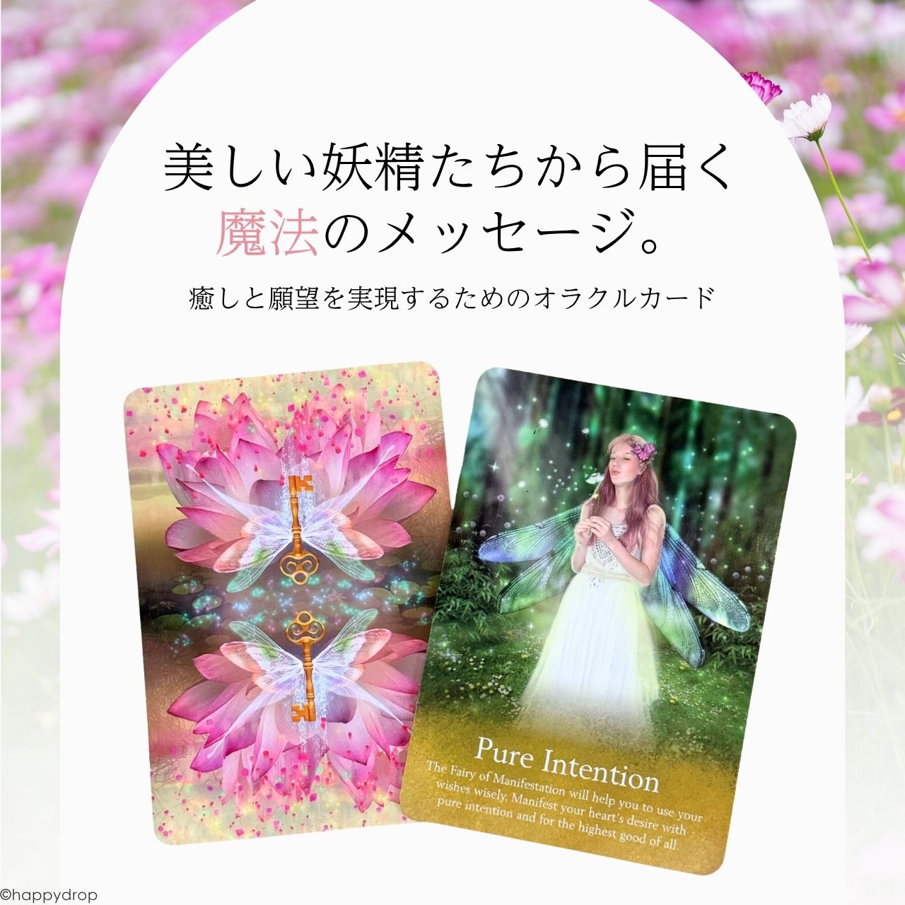 楽天市場】【ご予約商品 3月4日(水)より発送予定】オラクルオブザ