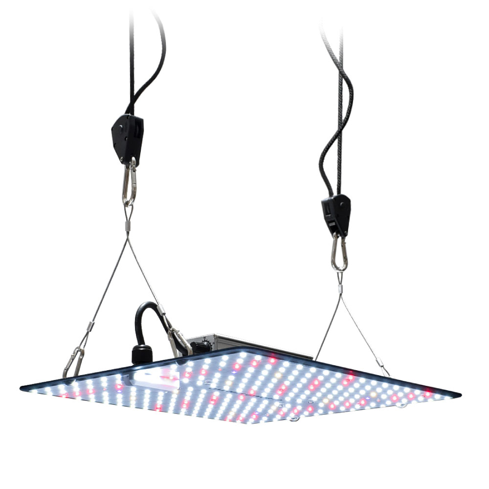 楽天市場】HaruDesign 植物育成LEDライト GL-BOARD5700 EVO サムスン