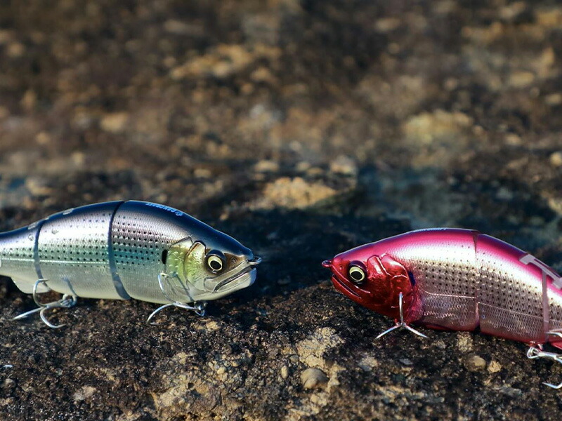 楽天市場】【 スーパーSALE限定 P5倍 】ガンクラフト ラチェット 144