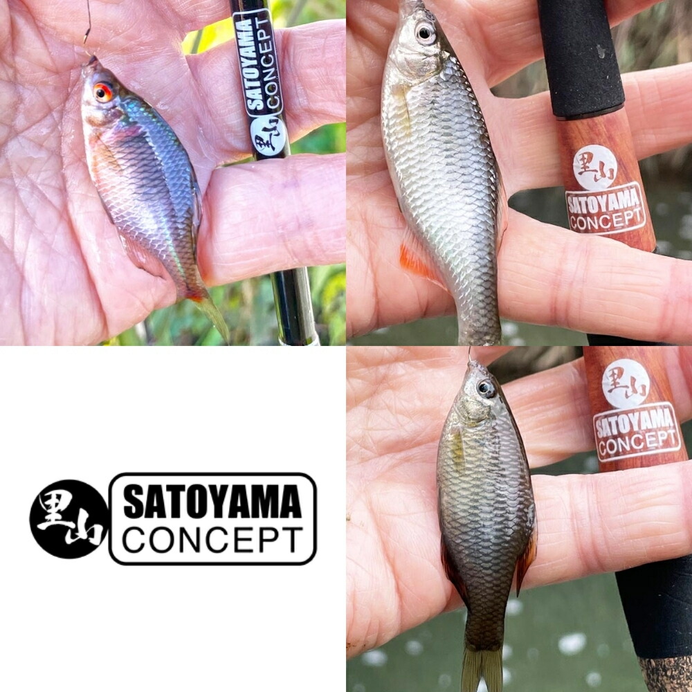 楽天市場】【 スーパーSALE限定 P5倍 】サトヤマ タナゴ竿 SC-260P