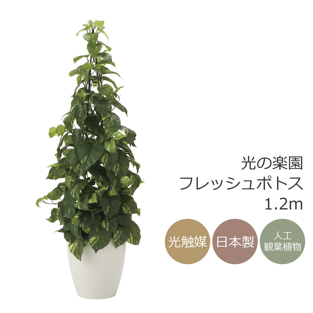 楽天市場】光触媒 光の楽園 フレッシュポトス1.2m フェイクグリーン
