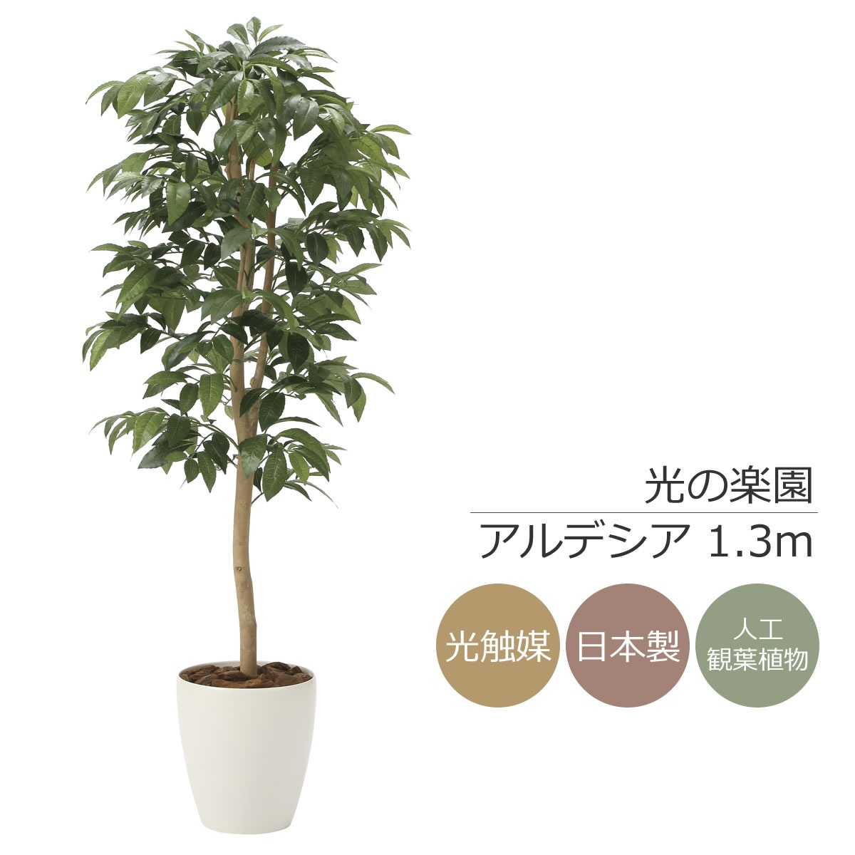 楽天市場】光触媒 人工観葉植物光の楽園 アルデシア(万両) 高さ 1.3m